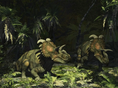Albertaceratops / © Raul Lunia. Verwendet mit freundlicher Genehmigung des Autors.