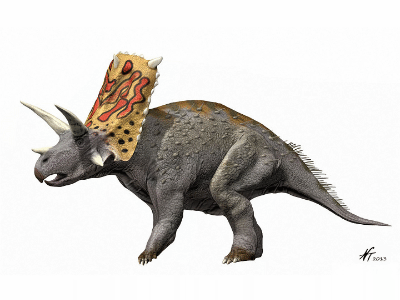 Bravoceratops / © N. Tamura. Verwendet mit freundlicher Genehmigung des Autors.