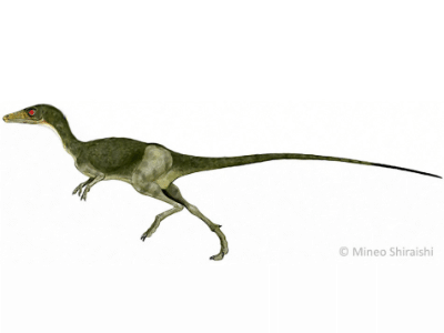 Compsognathus / © Mineo Shiraishi. Verwendet mit freundlicher Genehmigung des Autors