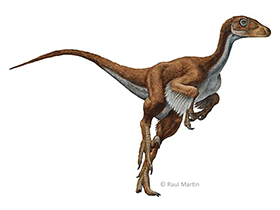 Dromaeosaurus / © Raul Martin. Verwendet mit freundlicher Genehmigung des Autors.