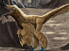 Graciliraptor /vasix. Creative Commons NonCommercial-NoDerivs 3.0 Unported (CC BY-NC-ND 3.0)