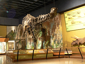 Skelett des Haplocanthosaurus / Stuart Spivack. Creative Commons ShareAlike 2.0 Generic (CC BY-SA 2.0)