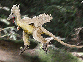 Linheraptor / © N. Tamura. Verwendet mit freundlicher Genehmigung des Autors.