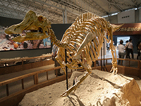 Skelett des Nipponosaurus / Kabacchi. Creative Commons 2.0 Generic (CC BY 2.0)