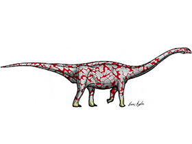 Rhoetosaurus / © Dann Pigdon. Verwendet mit freundlicher Genehmigung des Autors