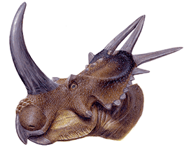Rubeosaurus / Lukas Panzarin. Creative Commons 4.0 International (CC BY 4.0)