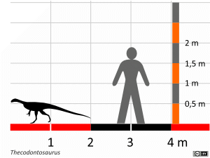 Größenvergleich /  Dinodata.de. Creative Commons 4.0 International (CC BY 4.0)