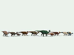 Tsintaosaurus, Jaxartosaurus, Amurosaurus, Charonosaurus, Parasaurolophus, Lambeosaurus, Nipponosaurus, 
Olorotitan, Corythosaurus, Hypacrosaurus (von links) / © Edyta Felcyn-Kowalska. Verwendet mit freundlicher Genehmigung der Autorin.