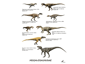 Megalosauridae / © N. Tamura. Verwendet mit freundlicher Genehmigung des Autors