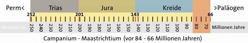 Campanium - Maastrichtium (Kreide)