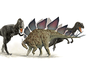 Allosaurus und Stegosaurus / © Jan-Ake Winqvist. Verwendet mit freundlicher Genehmigung des Autors.