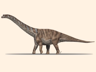 Abditosaurus // Oscar Sanisidro, Museu de la Conca Dellà. Creative Commons NonCommercial International 4.0 (CC BY-NC 4.0)