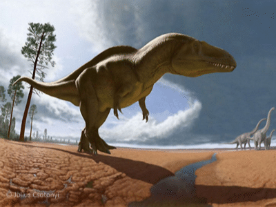 Acrocanthosaurus / © Julius T. Csotonyi. Verwendet mit freundlicher Genehmigung des Autors.