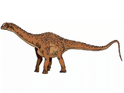 Aegyptosaurus / © Felipe Alves Elias. Verwendet mit freundlicher Genehmigung des Autors.