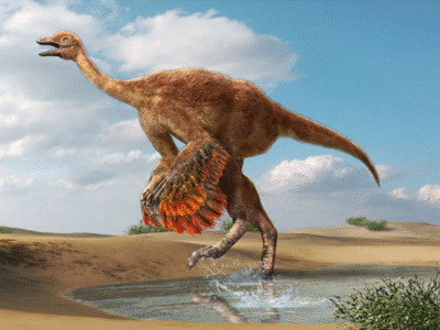 Aepyornithomimus / Masato Hattori. Creative Commons 4.0 International (CC BY 4.0)