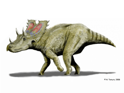 Agujaceratops / © N. Tamura. Verwendet mit freundlicher Genehmigung des Autors.