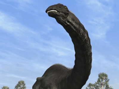 Apatosaurus / © Raul Lunia. Verwendet mit freundlicher Genehmigung des Autors.