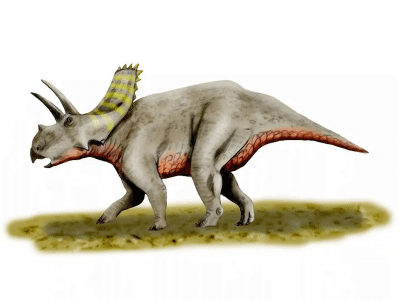 Arrhinoceratops / © N. Tamura. Verwendet mit freundlicher Genehmigung des Autors.