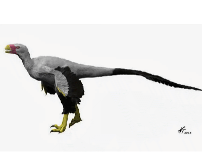 Atrociraptor / © N. Tamura. Verwendet mit freundlicher Genehmigung des Autors.