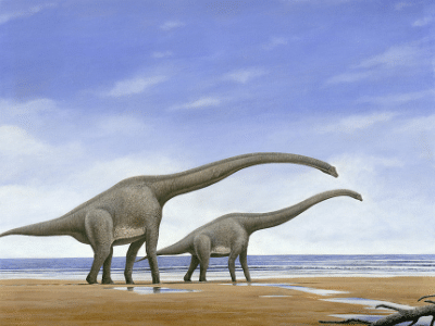 Brachiosaurus / © Arturo De Miguel. Verwendet mit freundlicher Genehmigung des Autors.