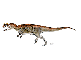 Ceratosaurus / © Sergio Perez. Verwendet mit freundlicher Genehmigung des Autors.