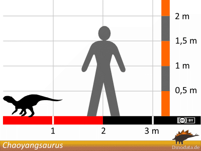 Größenvergleich © Dinodata.de