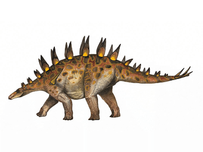 Chungkingosaurus / © Andrey Atuchin. Verwendet mit freundlicher Genehmigung des Autors.