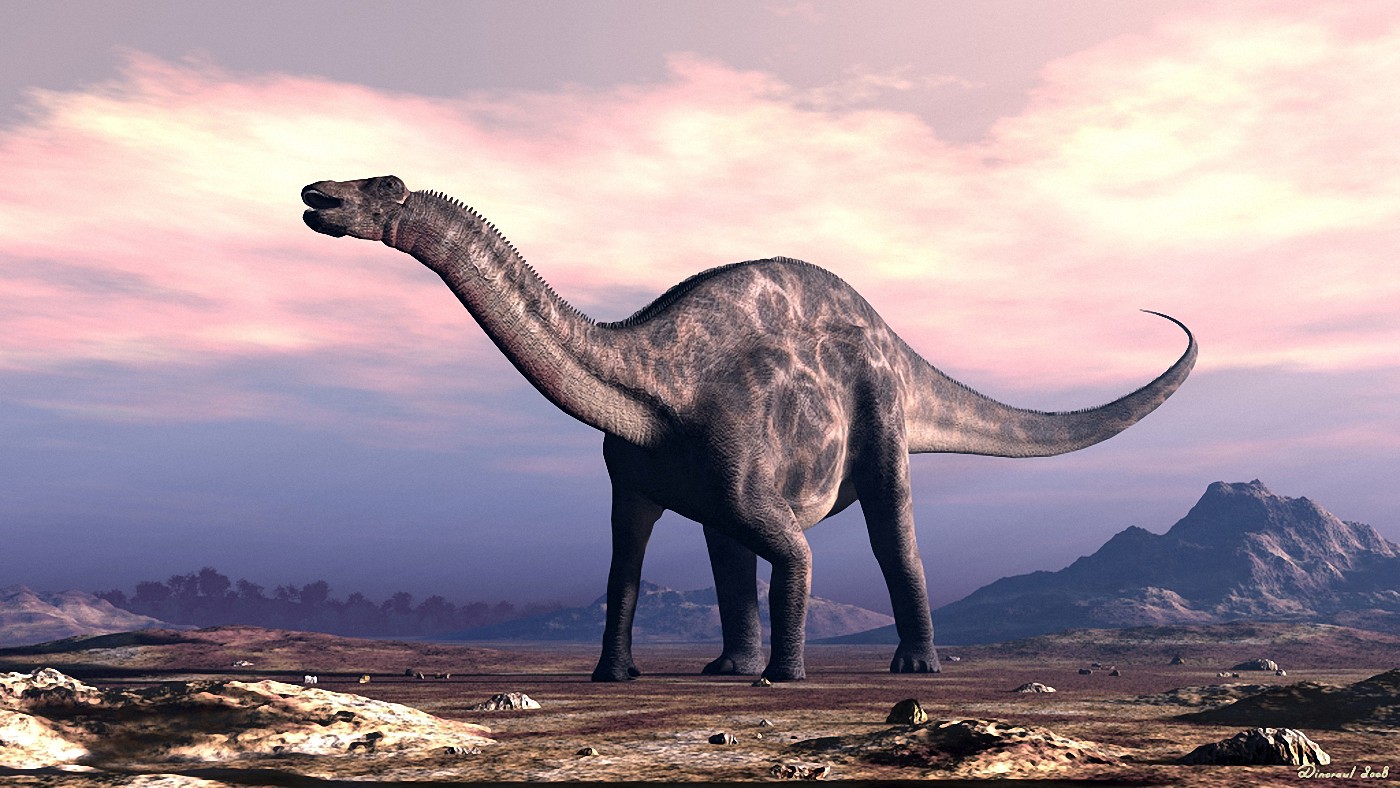 Dicraeosaurus hansemanni - Beschreibung, Dinodata.de