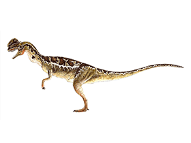 Dilophosaurus / © Bruno Hernandez. Verwendet mit freundlicher Genehmigung des Autors.
