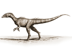 Dracoraptor / Bob Nichols. Creative Commons 4.0 International (CC BY 4.0)