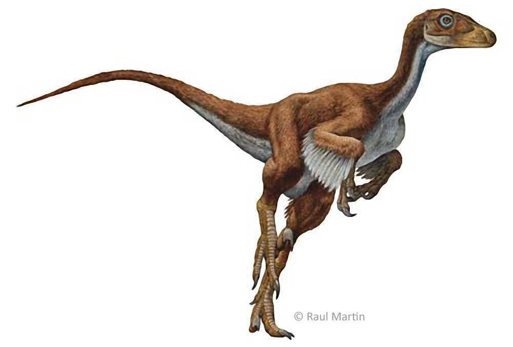 Dromaeosaurus_Raul_Martin.jpg