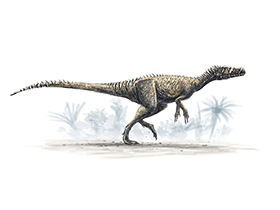 Herrerasaurus © Alain Bénéteau. Verwendet mit freundlicher Genehmigung des Autors.