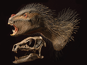 Heterodontosaurus / Bild: Tyler Keillor. Creative Commons CC0 1.0 Universal (CC0 1.0) Public Domain Dedication