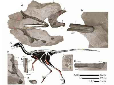 Rekonstruktion / © Kubota et al.