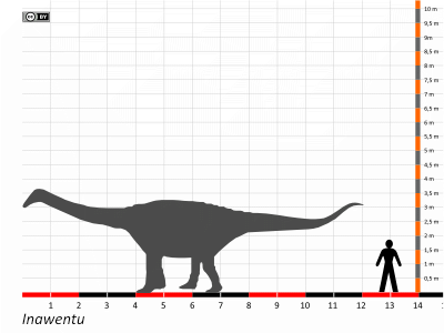 Größenvergleich / © Dinodata.de. Creative Commons 4.0 International (CC BY 4.0)