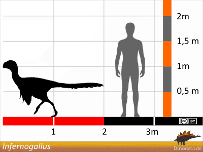 Größenvergleich / © Dinodata.de