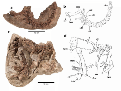 Fossilien / © Funston et al.