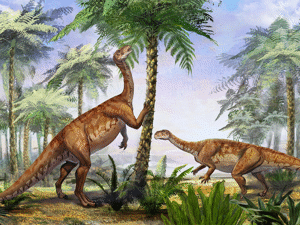 Irisosaurus /  Ang Li. Creative Commons 4.0 International (CC BY 4.0)