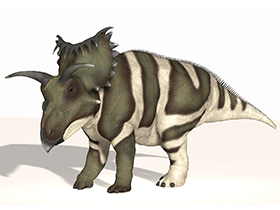 Kosmoceratops / © James Kuether. Verwendet mit freundlicher Genehmigung des Autors.