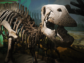 Lanzhousaurus / ansoncfit. Creative Commons NonCommercial-ShareAlike 2.0 Generic (CC BY-NC-SA 2.0)
