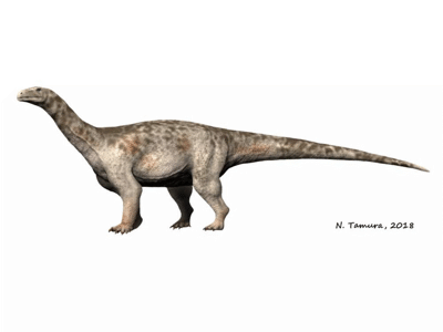 Ledumahadi / © N. Tamura. Verwendet mit freundlicher Genehmigung des Autors.