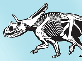 Mojoceratops / Sampson et al. Creative Commons 4.0 International (CC BY 4.0)