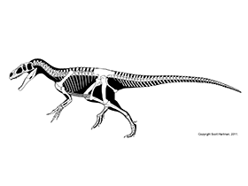 Marshosaurus / © Scott Hartman. Verwendet mit freundlicher Genehmigung des Autors.