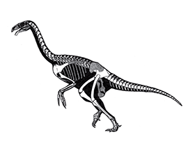 Neimongosaurus / © Øyvind M. Padron. Verwendet mit freundlicher Genehmigung des Autors.