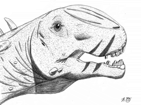 Nemegtosaurus / © Robert Gay. Verwendet mit freundlicher Genehmigung des Autors