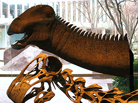Schädel des Nigersaurus / Mr.TinDC. Creative Commons NonCommercial-NoDerivs 2.0 Generic (CC BY-NC-ND 2.0)