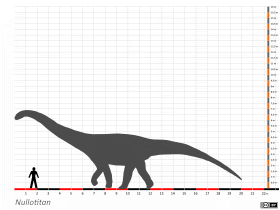 Größenvergleich / © Dinodata.de. Creative Commons 4.0 International (CC BY 4.0)