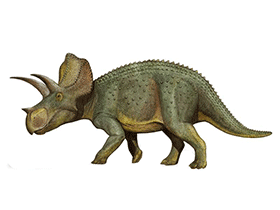 Ojoceratops / © Sergey Krasovskiy. Verwendet mit freundlicher Genehmigung des Autors