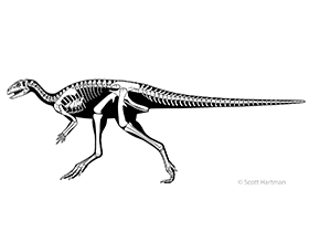 Othnielosaurus / © Scott Hartman. Verwendet mit freundlicher Genehmigung des Autors.