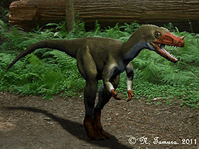 Proceratosaurus / © N. Tamura. Verwendet mit freundlicher Genehmigung des Autors.